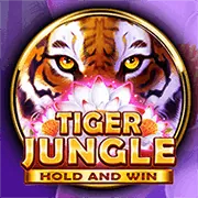 Quản lý tài khoản VIP xx88 casino
